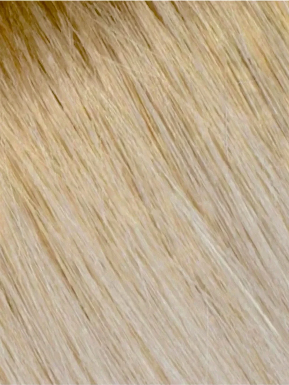 BELLAMI professional 22”
